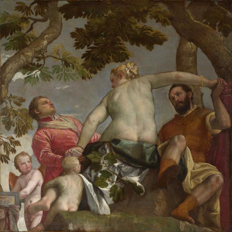 Paolo  Veronese Allegory of Love (mk08) Spain oil painting art